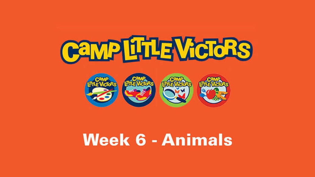 Camp little victors week 6 of animals