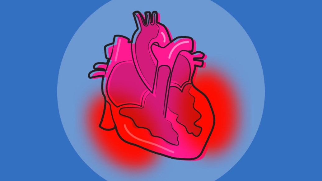 cardiovascular heart inflammation pink red blue background