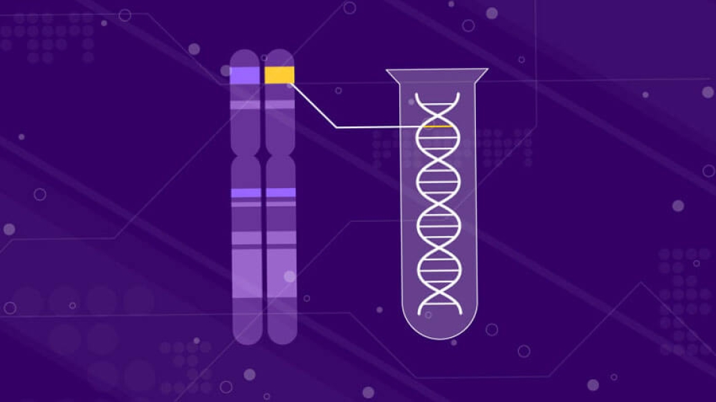 Genetic testing DNA chromosomes 3